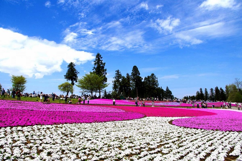 Saitama nằm bên trong đồng bằng Kanto, gần với đại đô thị Tokyo