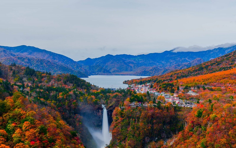 Tochigi với vị trí địa lý thuận lợi