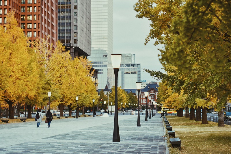 Tokyo sở hữu nhiều địa điểm du lịch