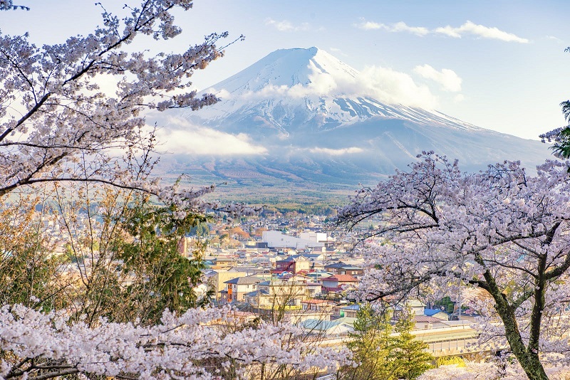 Yamanashi nằm hoàn toàn bên trong nội địa Nhật Bản