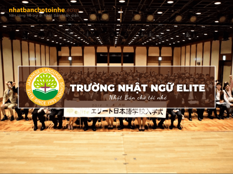 Trường Nhật ngữ Elite: Thông tin tuyển sinh, đào tạo và học phí cần biết