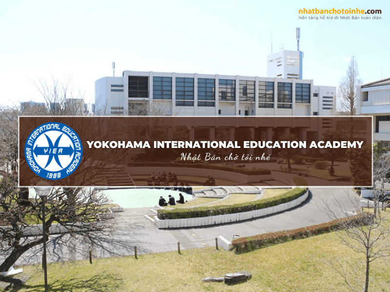 Yokohama International Education Academy có gì đặc biệt?