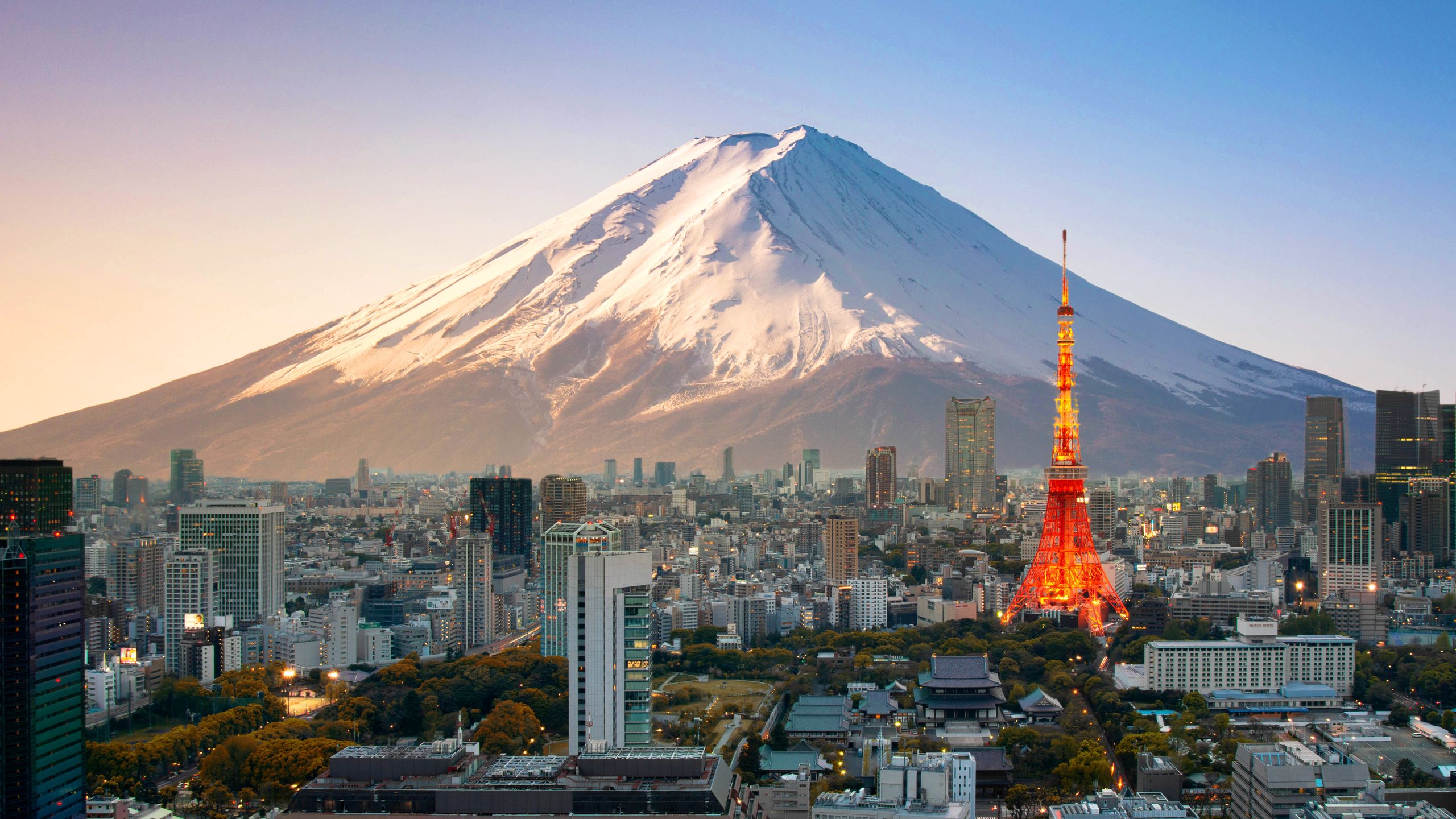 Du học Tokyo Nhật Bản Hành trình khám phá tri thức và cơ hội nghề nghiệp