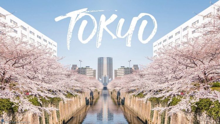 Du học Tokyo Nhật Bản Hành trình khám phá tri thức và cơ hội nghề nghiệp